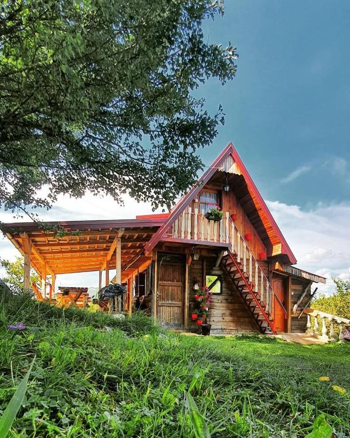 Nova Varoš Log Cabin Uvac מראה חיצוני תמונה