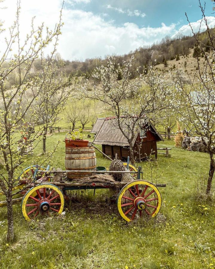 Nova Varoš Log Cabin Uvac חדר תמונה