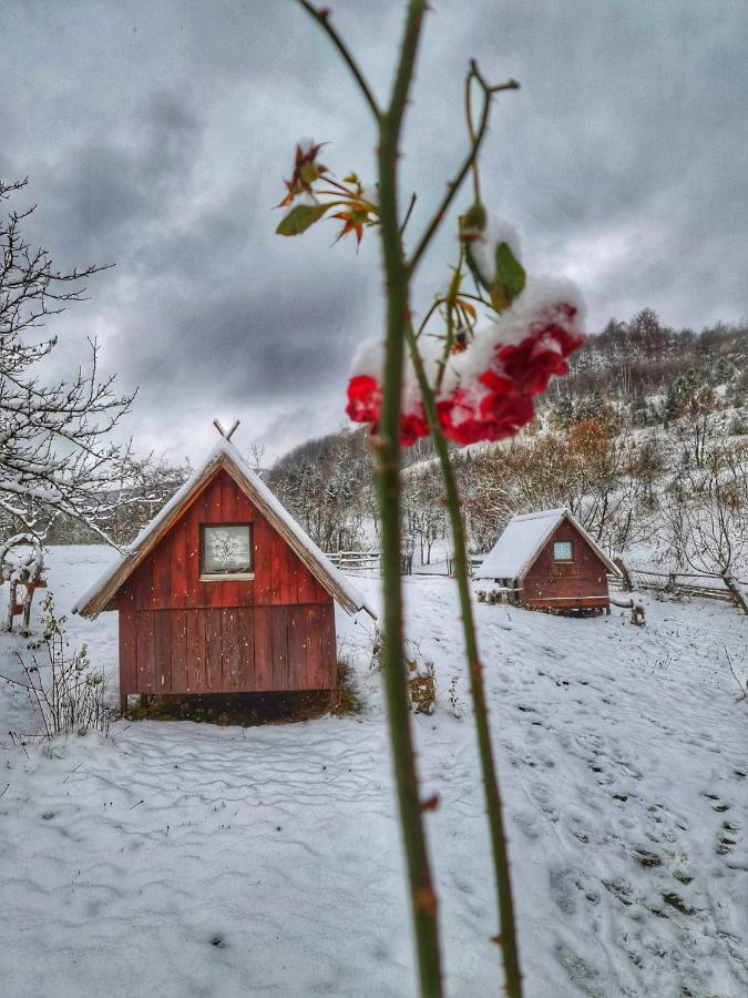 Nova Varoš Log Cabin Uvac מראה חיצוני תמונה
