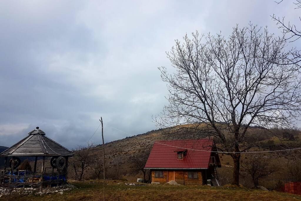 Nova Varoš Log Cabin Uvac מראה חיצוני תמונה