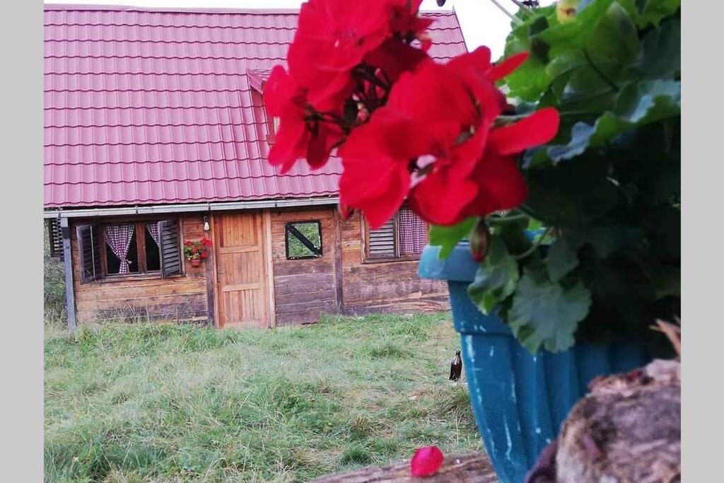 Nova Varoš Log Cabin Uvac מראה חיצוני תמונה