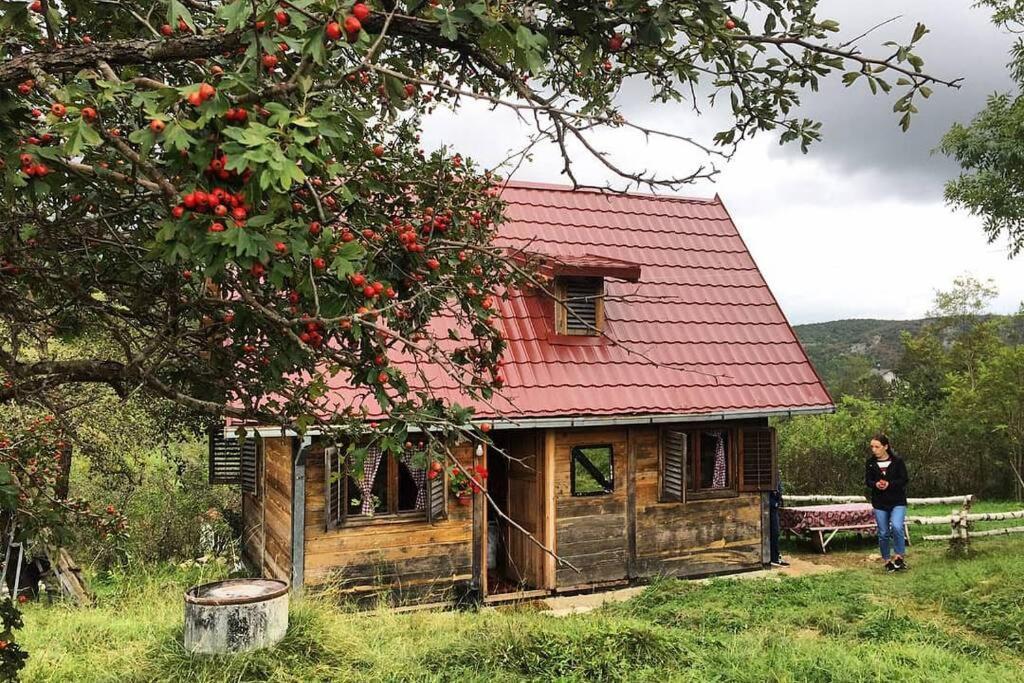 Nova Varoš Log Cabin Uvac מראה חיצוני תמונה